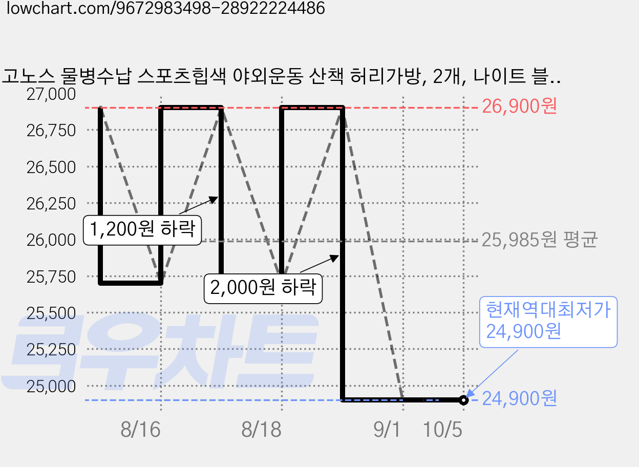 고노스 물병수납 스포츠힙색 야외운동 산책 허리가방, 2개, 나이트 블랙 x 나이트 블랙 가격 변동 차트, 현재가 24,900원, 역대최저가