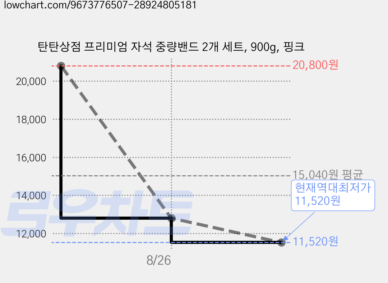 탄탄상점 프리미엄 자석 중량밴드 2개 세트, 900g, 핑크 가격 변동 차트, 현재가 11,520원, 역대최저가