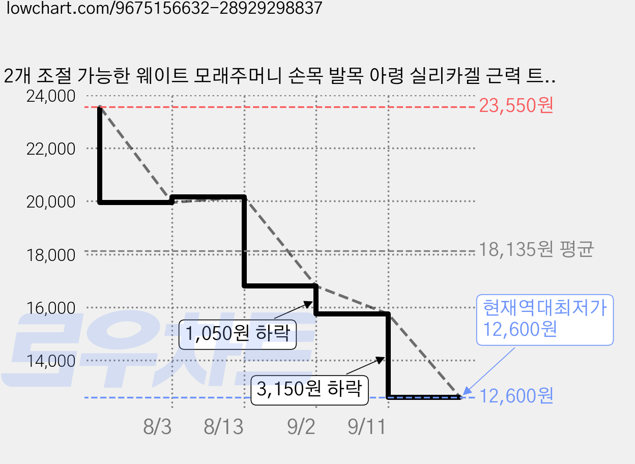 2개 조절 가능한 웨이트 모래주머니 손목 발목 아령 실리카겔 근력 트레이닝 편리한 휴대함 다기능 요가 러닝 수영, Pink, 1kg 가격 변동 차트, 현재가 12,600원, 역대최저가