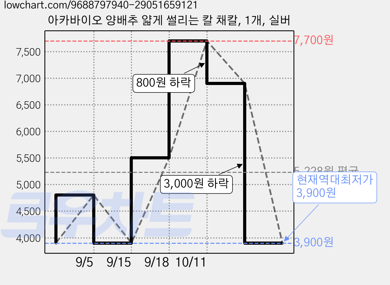 아카바이오 양배추 얇게 썰리는 칼 채칼, 1개, 실버 가격 변동 차트, 현재가 3,900원, 역대최저가