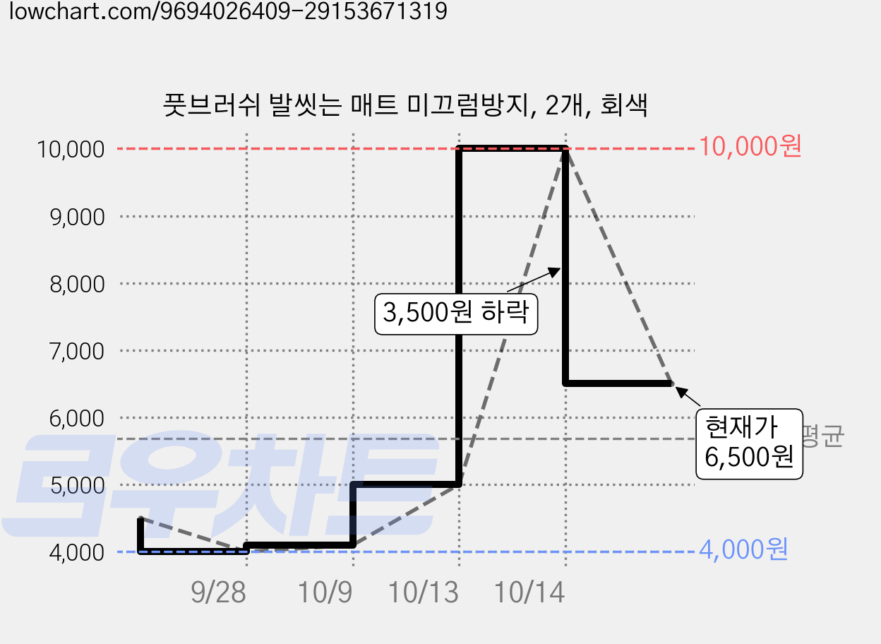 풋브러쉬 발씻는 매트 미끄럼방지, 2개, 회색 가격 변동 차트, 현재가 6,500원, 관측 최저가 4,000원
