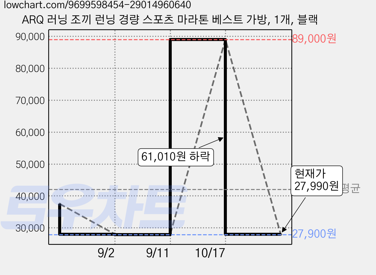 ARQ 러닝 조끼 런닝 경량 스포츠 마라톤 베스트 가방, 1개, 블랙 가격 변동 차트, 현재가 27,990원, 관측 최저가 27,900원