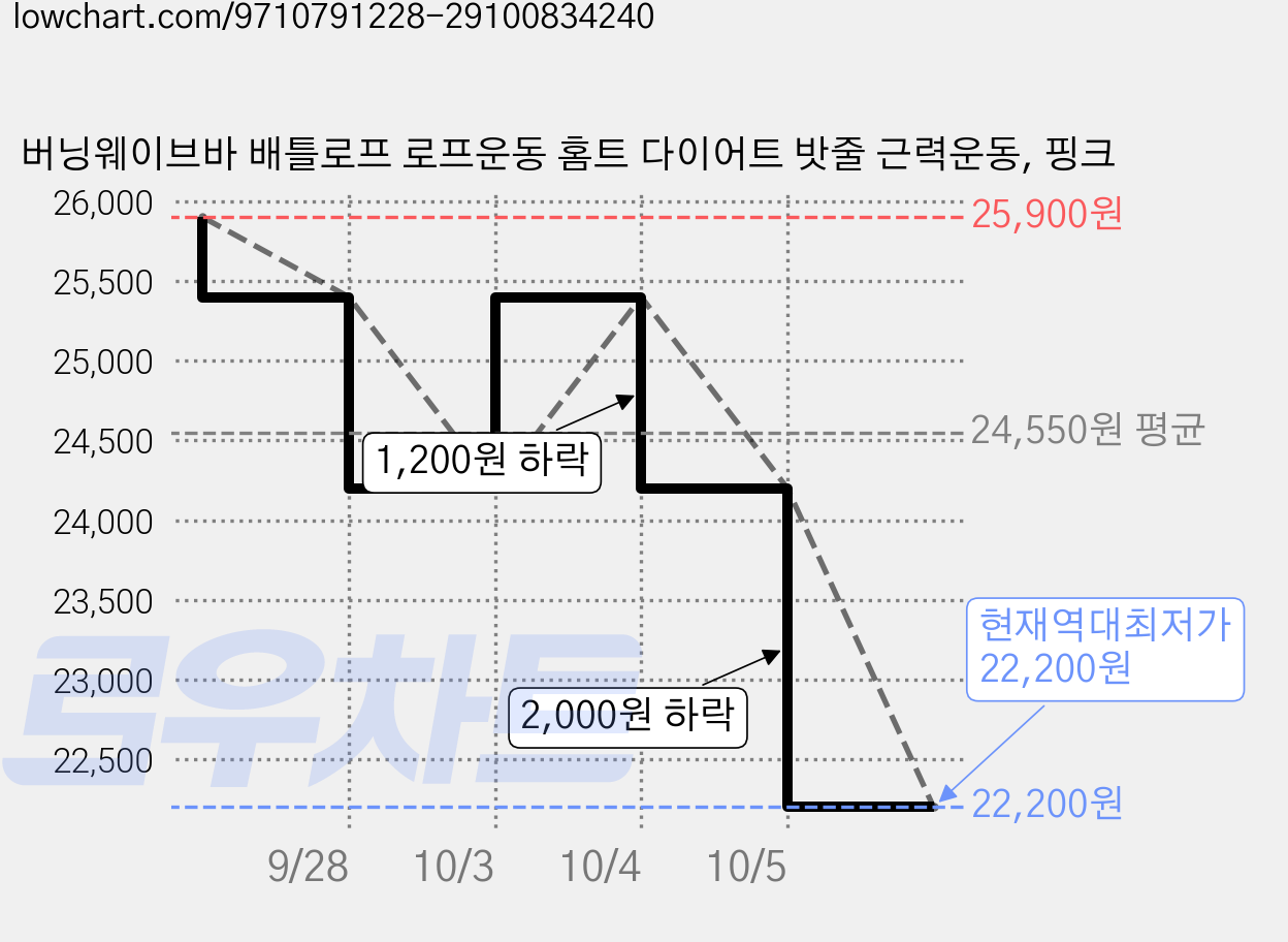 버닝웨이브바 배틀로프 로프운동 홈트 다이어트 밧줄 근력운동, 핑크 가격 변동 차트, 현재가 22,200원, 역대최저가