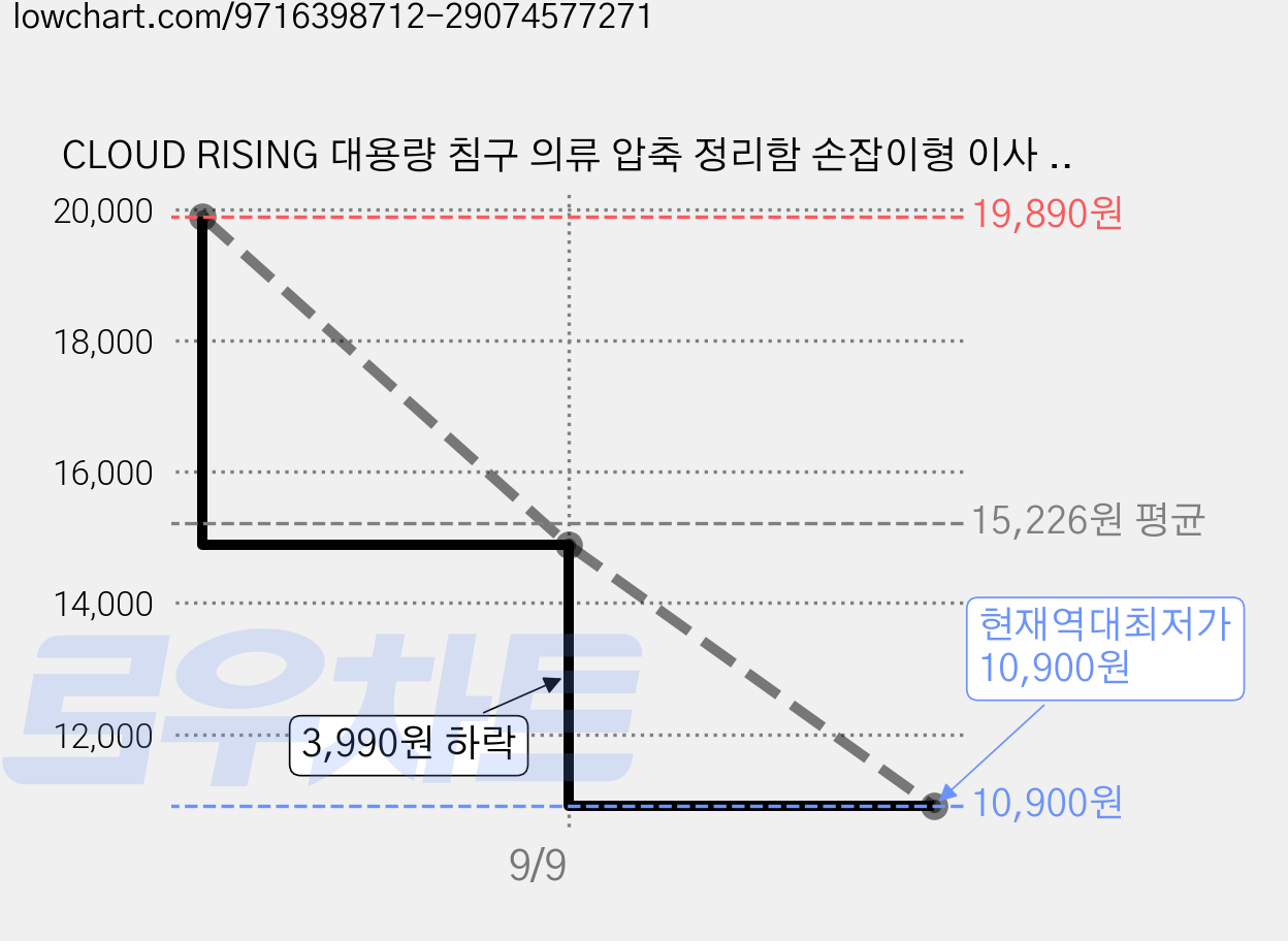 CLOUD RISING 대용량 침구 의류 압축 정리함 손잡이형 이사 보관가방, 1세트, 2개입 가격 변동 차트, 현재가 10,900원, 역대최저가