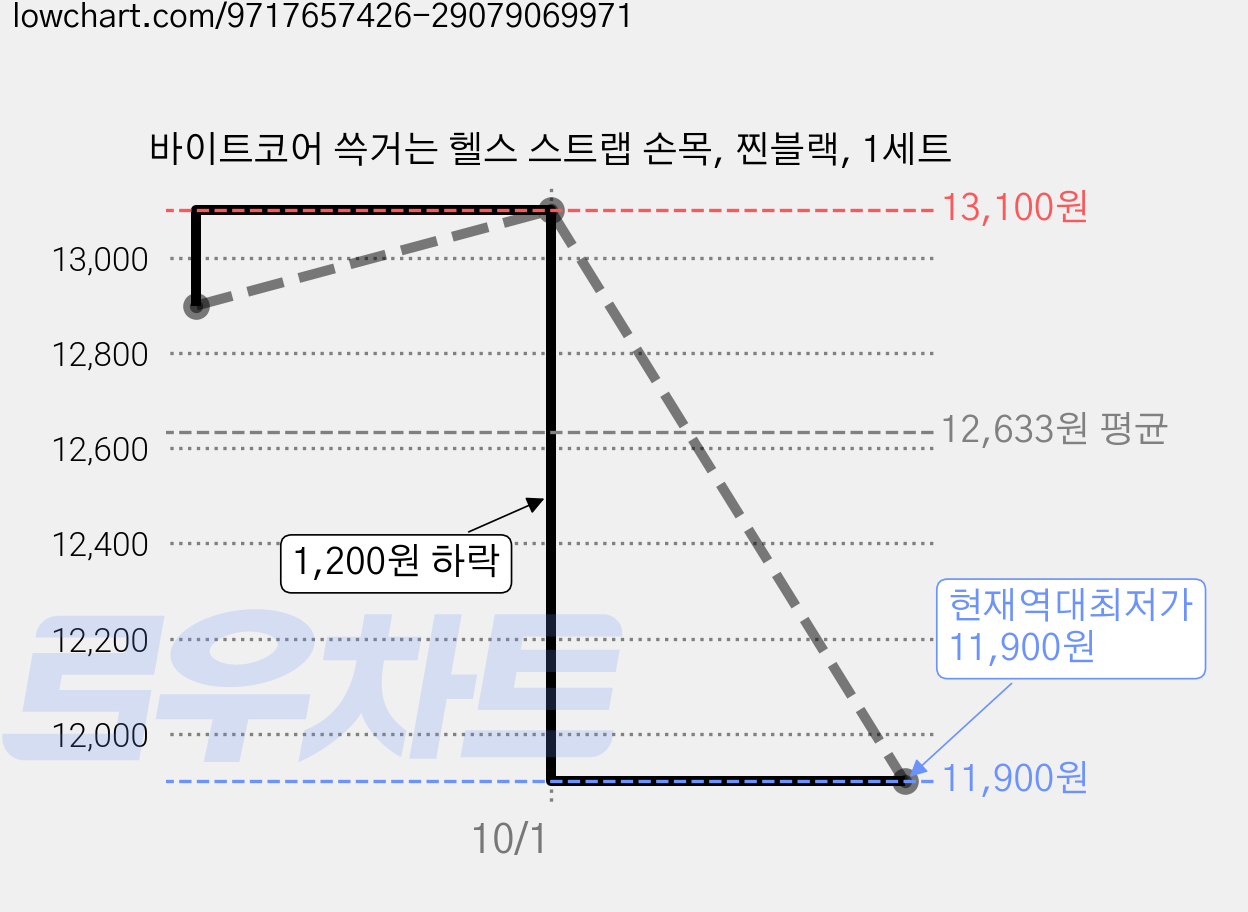 바이트코어 쓱거는 헬스 스트랩 손목, 찐블랙, 1세트 가격 변동 차트, 현재가 11,900원, 역대최저가