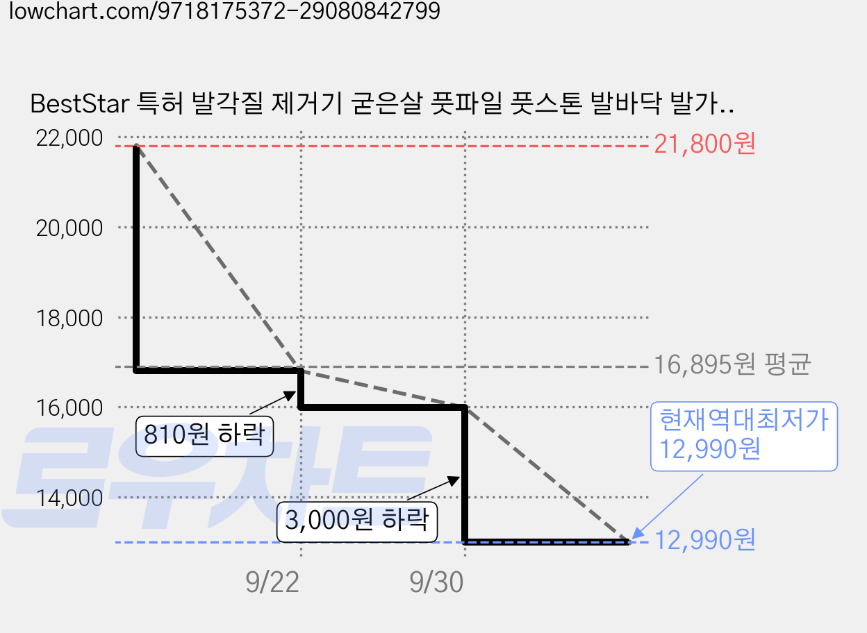 BestStar 특허 발각질 제거기 굳은살 풋파일 풋스톤 발바닥 발가락 사이 세척 브러시, 클래식 그레이, 2개 가격 변동 차트, 현재가 12,990원, 역대최저가