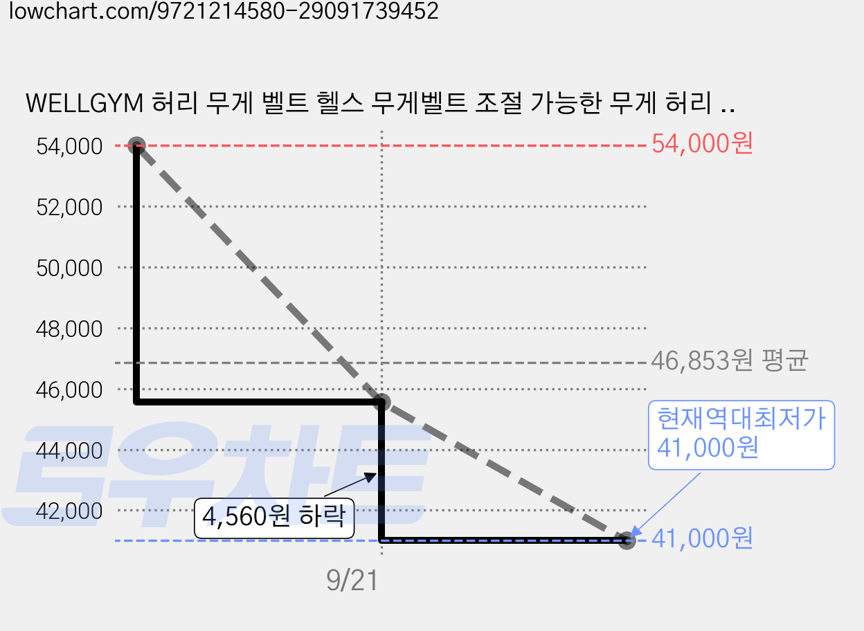 WELLGYM 허리 무게 벨트 헬스 무게벨트 조절 가능한 무게 허리 복직근 복횡근 운동, 3kg, Black 가격 변동 차트, 현재가 41,000원, 역대최저가