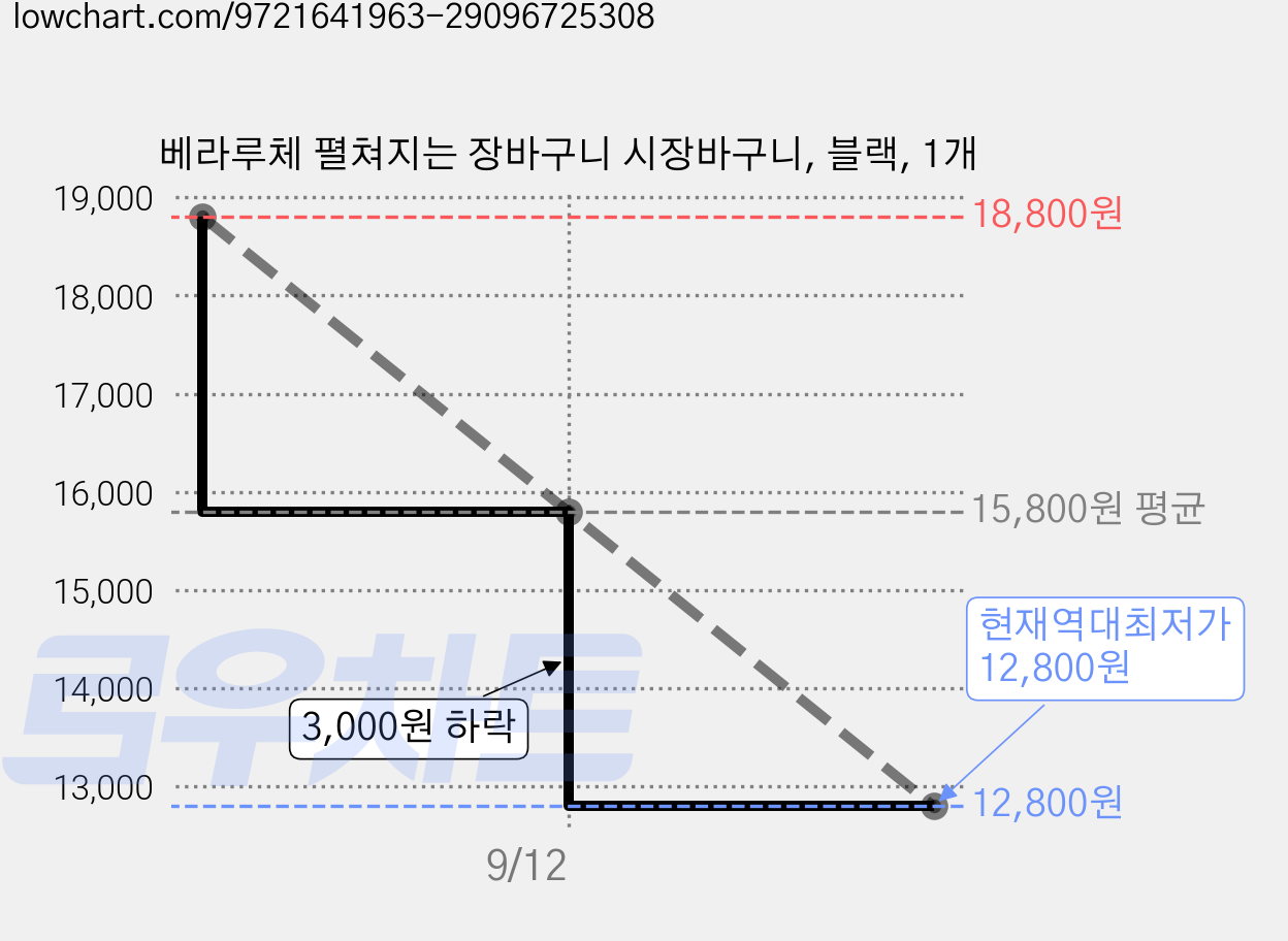 베라루체 펼쳐지는 장바구니 시장바구니, 블랙, 1개 가격 변동 차트, 현재가 12,800원, 역대최저가