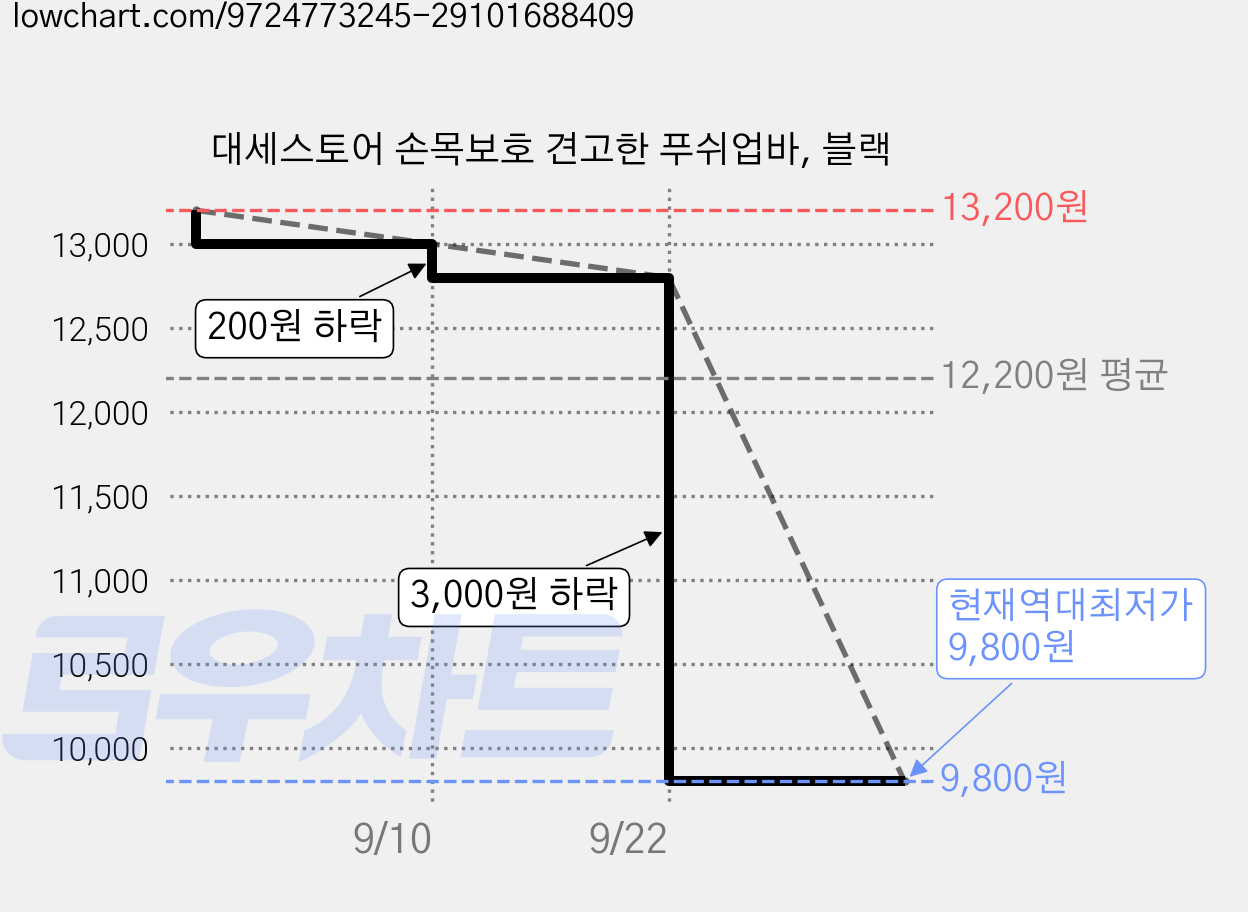 대세스토어 손목보호 견고한 푸쉬업바, 블랙 가격 변동 차트, 현재가 9,800원, 역대최저가