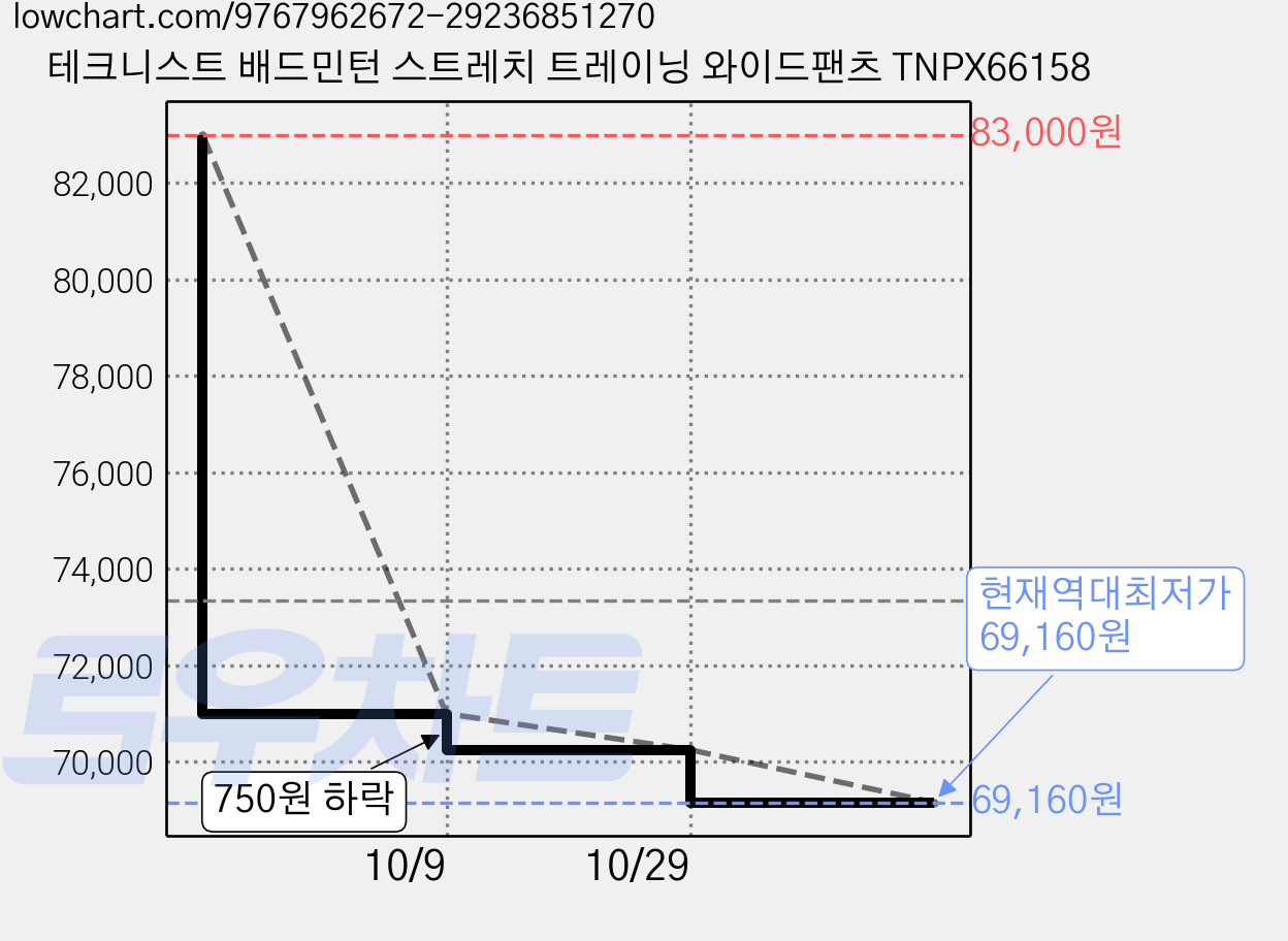 테크니스트 배드민턴 스트레치 트레이닝 와이드팬츠 TNPX66158 가격 변동 차트, 현재가 69,160원, 역대최저가